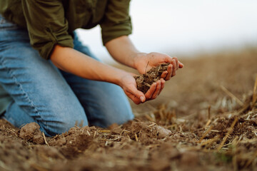 Close-up of a woman farmer's hands with black soil in an agricultural field. A woman agronomist...