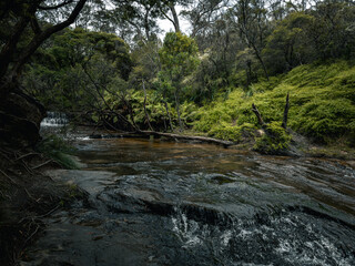 Naklejka na ściany i meble The serene Blue Mountains and Majestic Waterfalls. Nature's Symphony. NSW. Australia. Wentworth Falls. Minnehaha falls. Three sisters.