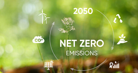 Net zero and carbon neutral concept. Net zero greenhouse gas emissions target. Net zero icon....