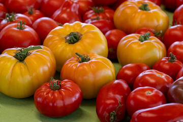A display of various fresh tomatoes harvested for sale at a grocery. The produce is vibrant yellow, red, and orange color with a firm and shiny skin. The ripe crops are of various sizes and shapes.