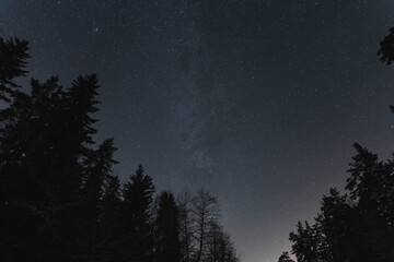 Night scene of Estonian nature, silhouette of winter trees against the background of the starry sky and milky way in night forest.