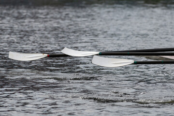Three oars with black shafts and white blades facing upward over a river. The sculling oars are out...