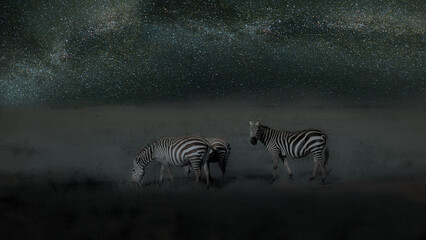 Animals at night in Kenya under the milky way 