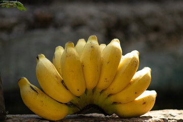 Plátanos manzanos amarillos 