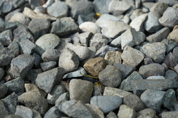 Small mountain rocks were scattered on the floor
