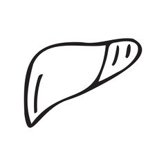 liver. Doodle. medical icon. the icon. on a white background. medical equipment. telephone. doctor. to heal.
