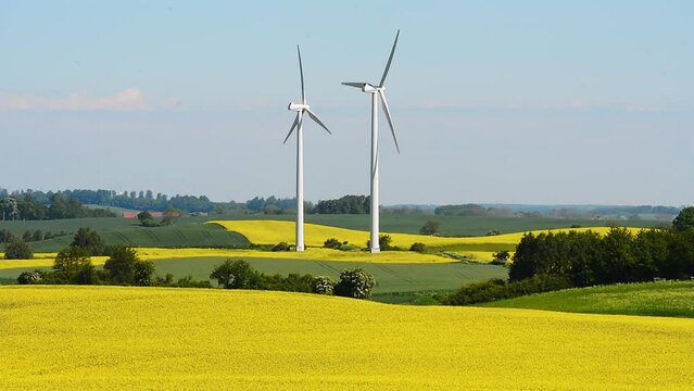 Landscape with rape fields and wind power turbines in Bjaeresjoe, Ystad, Scania, Sweden, Scandinavia, Europe