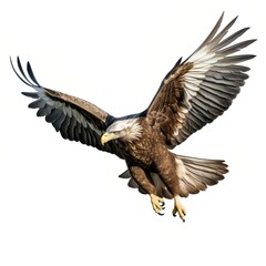 A bald eagle with outstretched wings is flying down