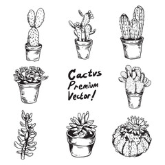 hand drawn set cactus