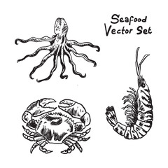 seafood vector