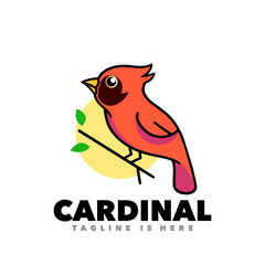 Cardinal bird on a branch