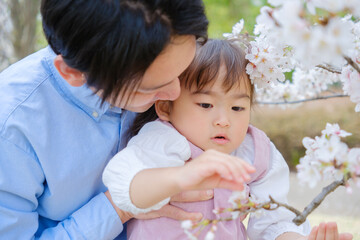 花見をする女の子とお父さん