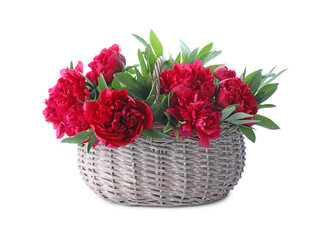 Bouquet of beautiful red peonies in wicker basket isolated on white