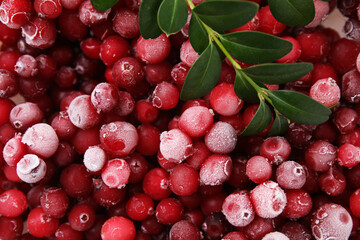 Frozen red cranberries and green leaves as background, top view