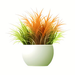 two-colored pampas grass in pot