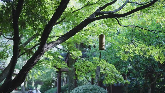 wind chimes hangs on tree