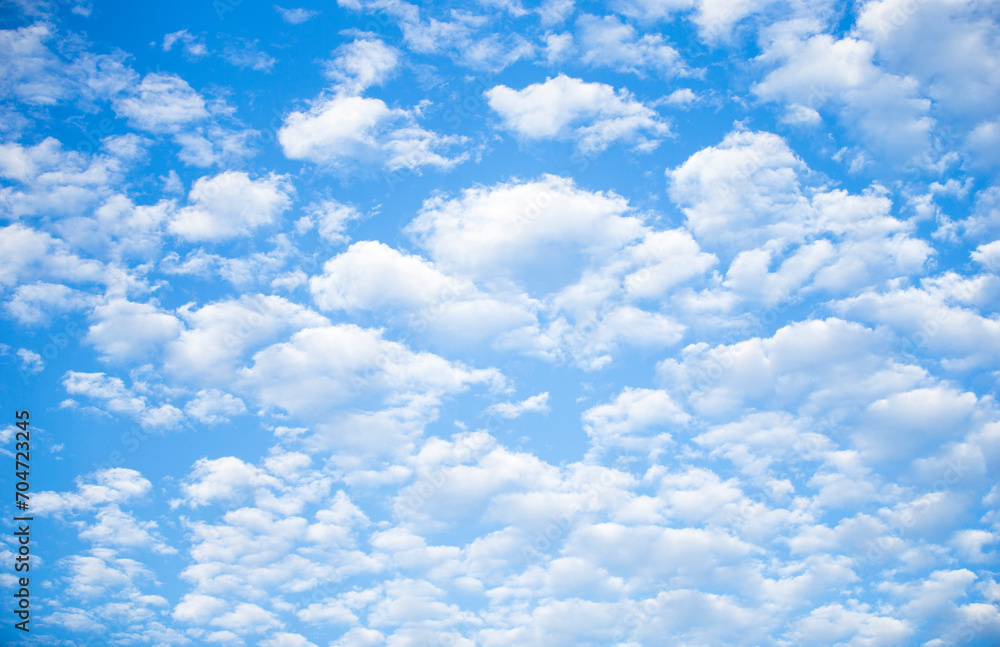 Canvas Prints blue sky background with tiny cloudsuse as background or wallpaper