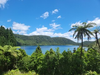 Fototapeta na wymiar Blue Lake, Rotorua