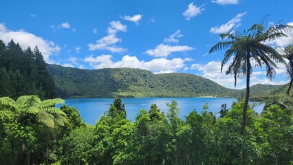 Fototapeta na wymiar Blue Lake, Rotorua