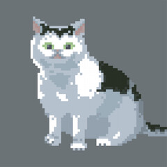 Fat cat, pixel art meme