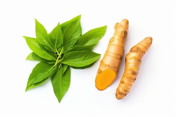 Top view of isolated turmeric root leaf and powder on white background