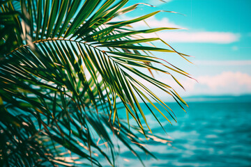 Naklejka na ściany i meble Elegant palm tree leaves against a backdrop of the serene blue sea, capturing the essence of a summer tropical vacation in a minimalistic style.