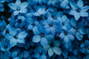 A Captivating Display of Blue Flowers Blooming, Creating a Floral Wallpaper to Enchant and...