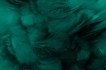 Beautiful dark green viridian vintage color trends feather texture background - 704733617