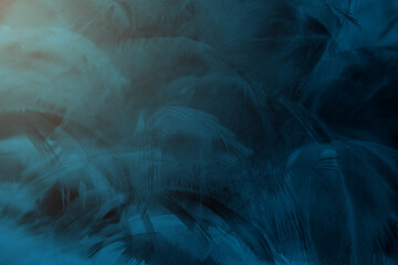 blue black feather abstract texture pattern background - 704733629