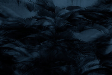 blue black feather abstract texture pattern background - obrazy, fototapety, plakaty