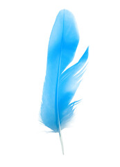 feather color blue on white background