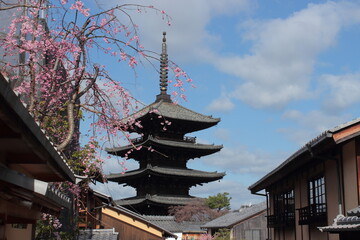 京都　春の八坂の塔