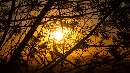 Atardecer en siluetas