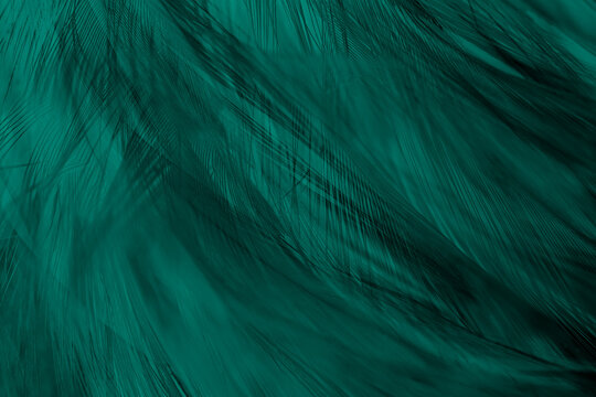 Beautiful dark green viridian vintage color trends feather texture background