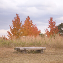 日本の秋をイメージした画像