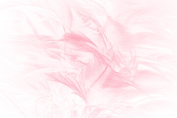 Beautiful soft pink feather pattern texture background - 704735098