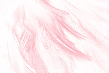 Beautiful soft pink feather pattern texture background