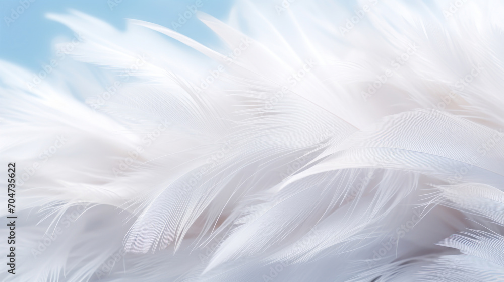 Poster close-up of soft white feathers creating a delicate and light texture, perfect for gentle background