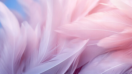 Soft focus image of delicate pastel pink feathers, creating a gentle and dreamy texture.
