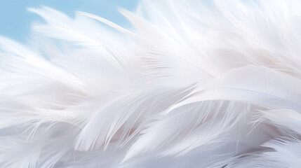 Close-up of soft white feathers creating a delicate and light texture, perfect for gentle backgrounds. - obrazy, fototapety, plakaty