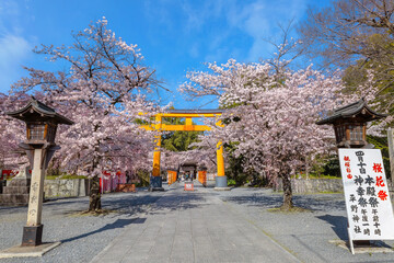 Hirano-jinja is the site of a cherry blossom festival annually since 985 during the reign of...