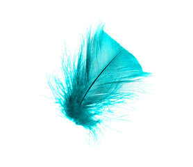 Beautiful feather color green turquoise blue isolated on white background - 704737889