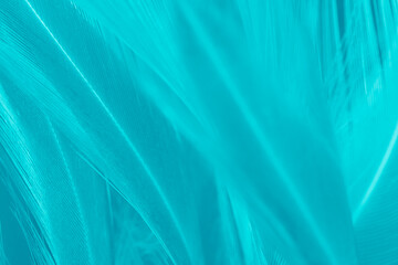 Beautiful  green turquoise vintage color trends feather pattern texture pastel background