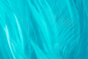 Beautiful green cyan turquoise vintage color trends feather pattern texture background