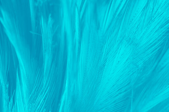 Beautiful  green turquoise vintage color trends feather pattern texture pastel background