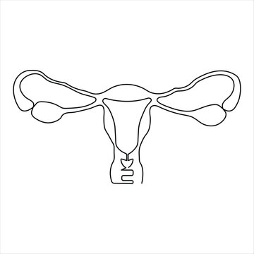 Female reproductive uterus of continuous single line art drawing and woman day one outline vector art illustration