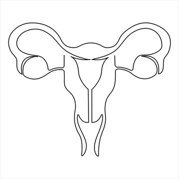 Female reproductive uterus of continuous single line art drawing and woman day one outline vector art illustration