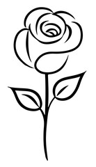 Róża rysunek