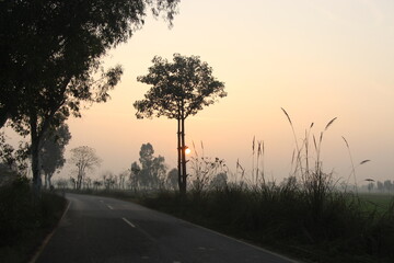 Fototapeta na wymiar Beautiful Landscapes of Punjab Pakistan , Sunset and Fog in winters
