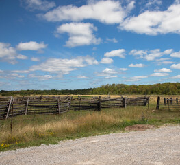 Fototapeta premium Wildlife trail area through farm fields in rural Ontario with blue sky and clouds